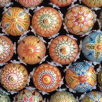 pumi pugliesi
